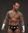 WWE-CM-Punk-Promo-Picture-2013.jpg